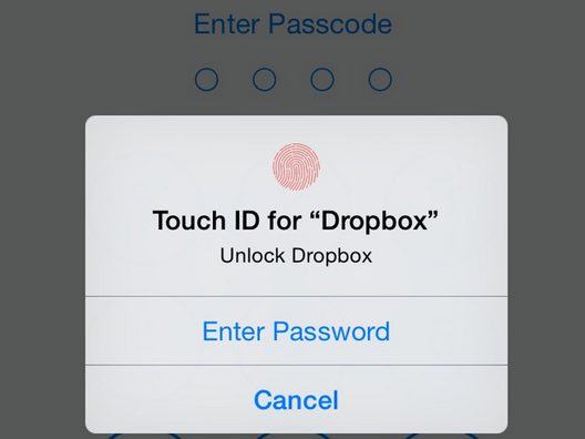 How to I enable Touch ID for the Dropbox mobile app on iphone